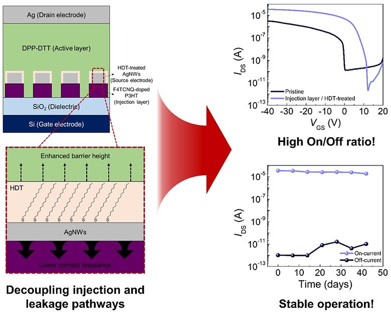 Dual‐Interface Engineering of the Source Electrode to Overcome the Intrinsic Injection‐Leakage Trade‐Off in Organic Schottky Barrier Transistors