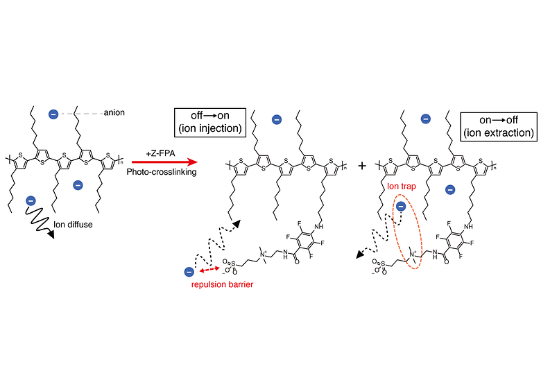 Electrostatic Ion Trapping in Organic Electrochemical Transistors for Record Neuromorphic Memory Performance
