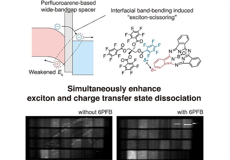 Perfluoroarene-based interlayers unlock high external quantum efficiency in planar heterojunction OPDs